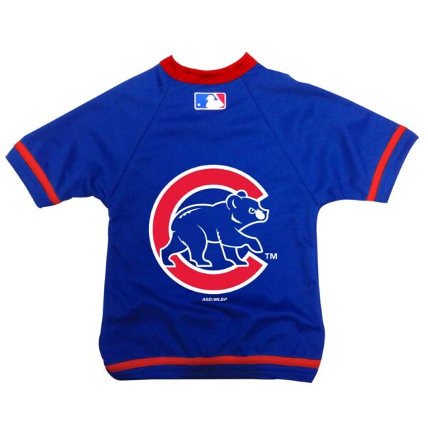 CHICAGO CUBS JERSEY L