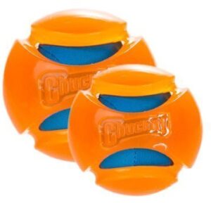 CHUCKIT HYDRO SQUEEZE BALL L